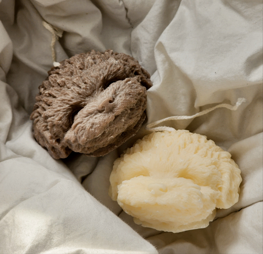 Tête de caniche - Les bougies Maeco