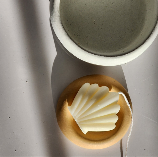Coquillage - Les bougies Maeco