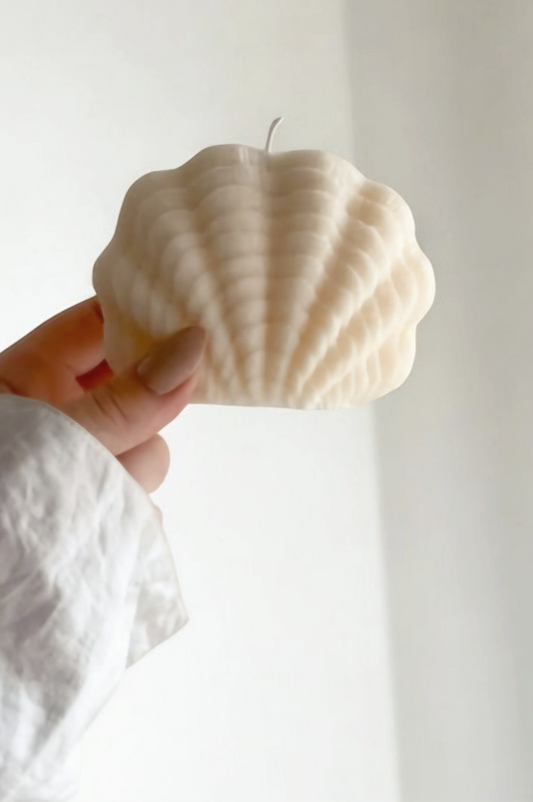 Coquillage nervuré - Les bougies Maeco