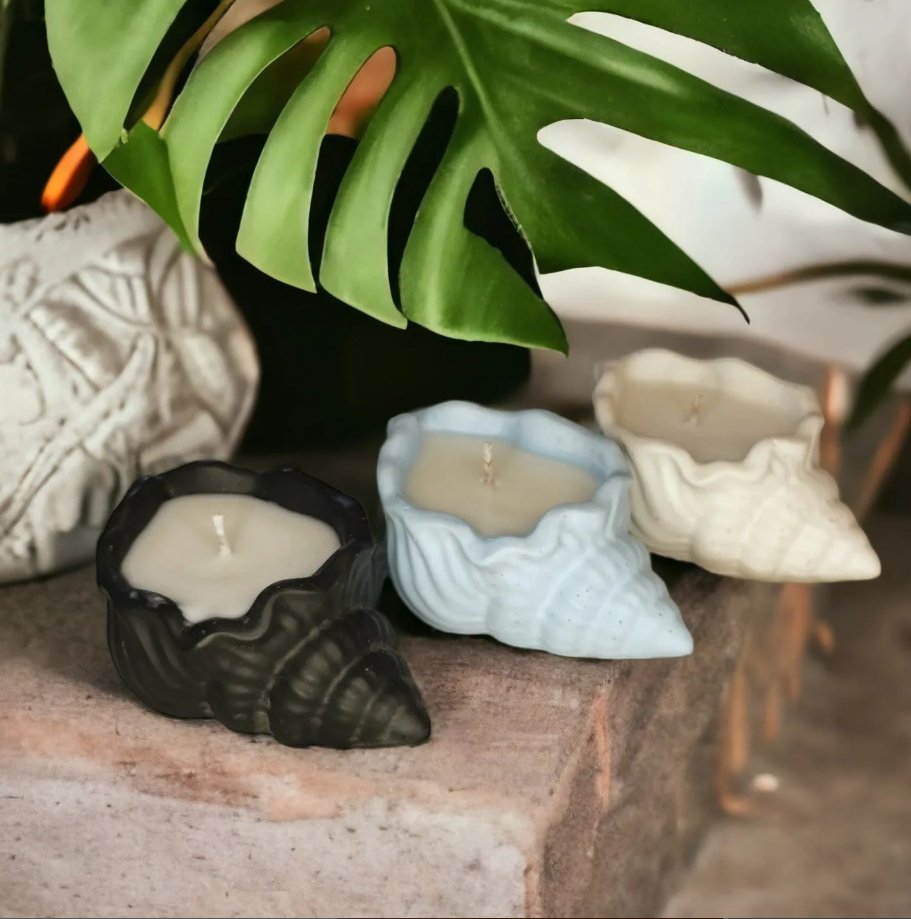 Bougie coquillage - Les bougies Maeco