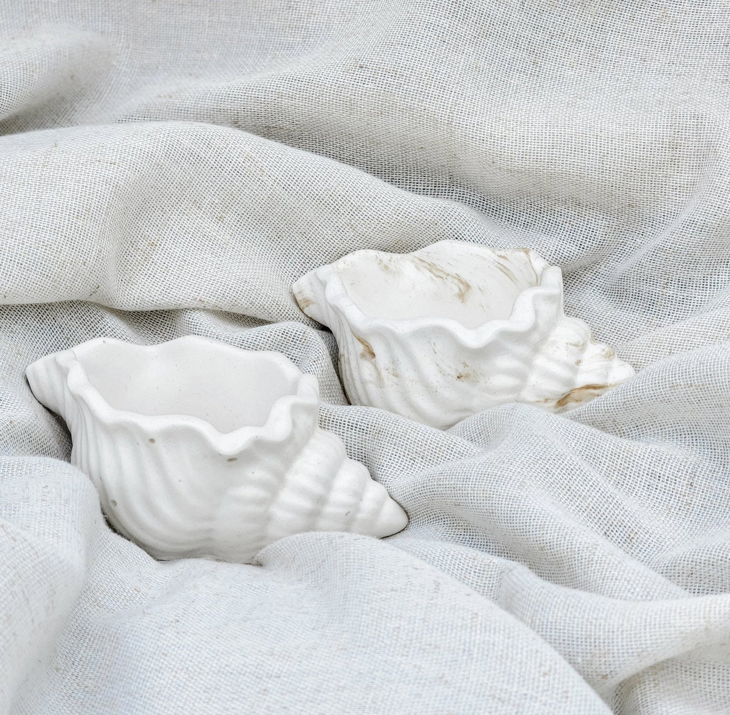 Coquillage. Bol à bijoux - Les bougies Maeco