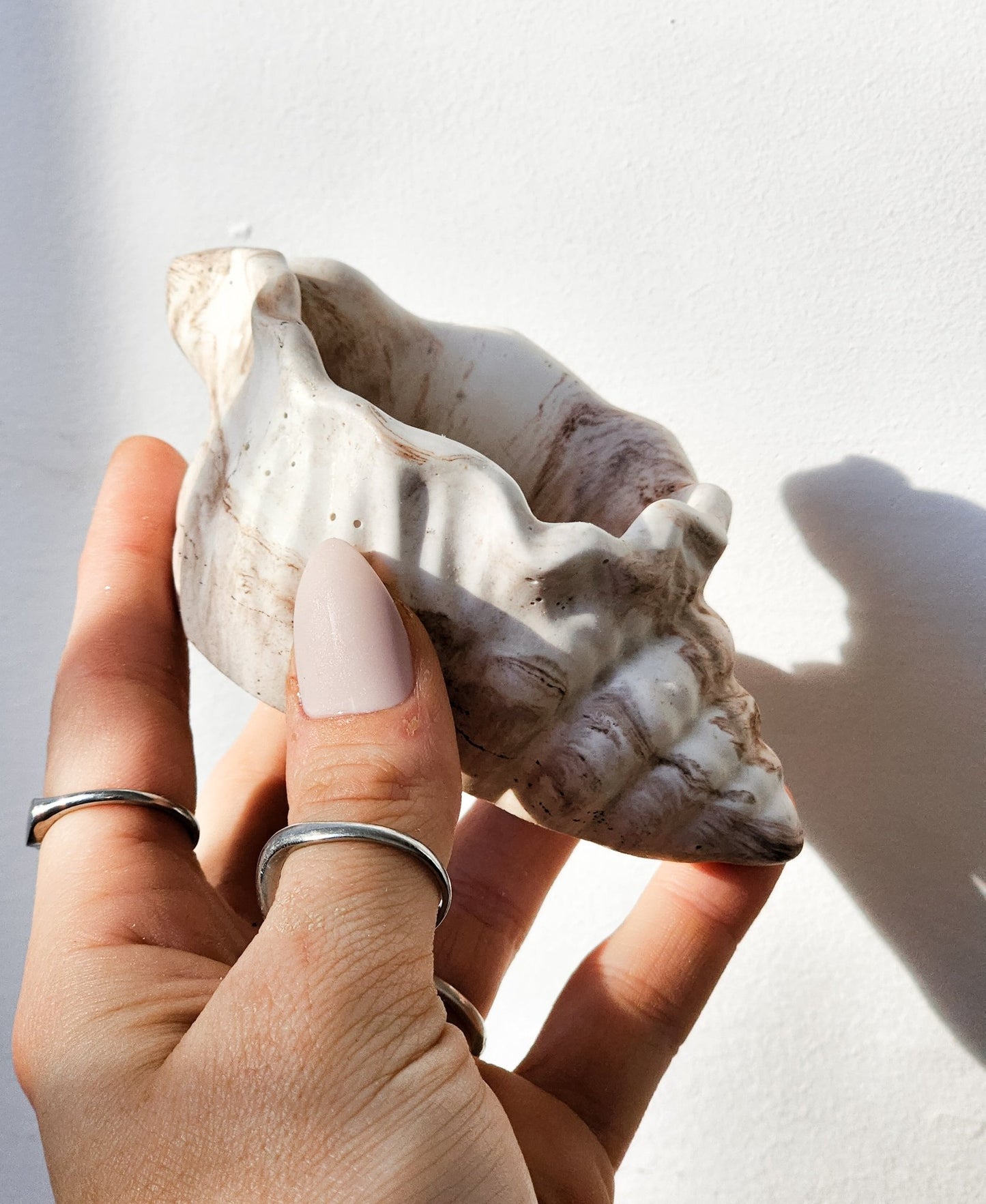 Coquillage. Bol à bijoux - Les bougies Maeco