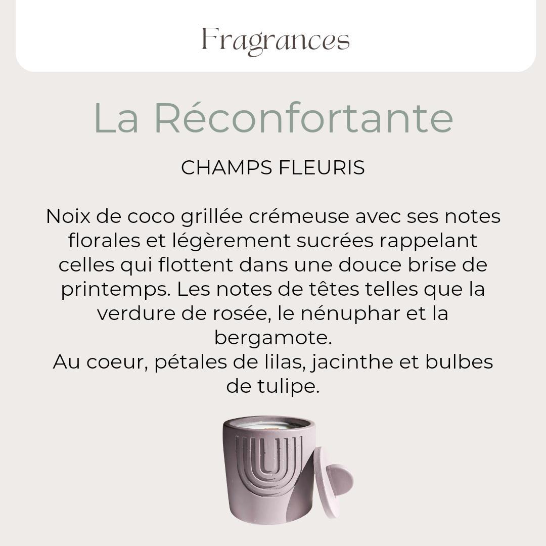 COLLECTION: LES BOUGIES MAECO X PAPETERIE PLUME & PAPIER ( 3 OPTIONS) - Les bougies Maeco